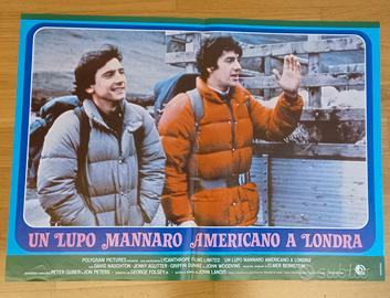 Un lupo mannaro americano a Londra (fotobusta)