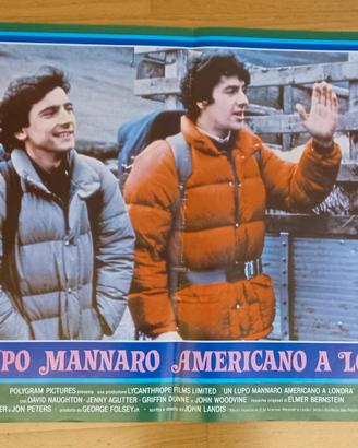 Un lupo mannaro americano a Londra (fotobusta)