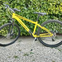 bicicletta  cascioli