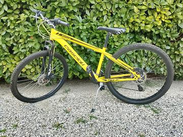 bicicletta  cascioli