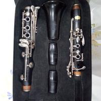 Clarinetto Sib Patricola Virtuoso Cl2