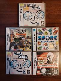 Lotto giochi Nintendo ds