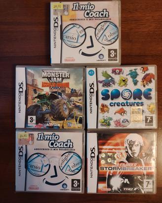 Lotto giochi Nintendo ds
