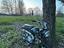 Immagine 1