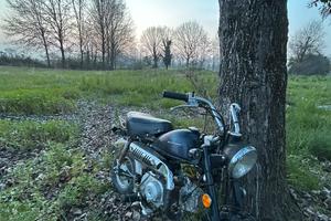 Motor union doggy 50