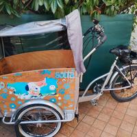 panda Bike cargo elettrica