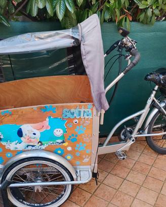 panda Bike cargo kids elettrica 