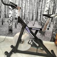 Cyclette professionale 