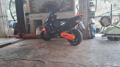 vedo manginico f 12 (70 cc)