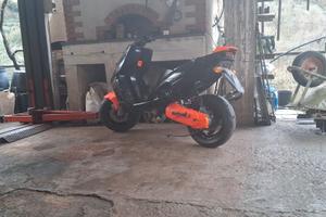 vedo manginico f 12 (70 cc)