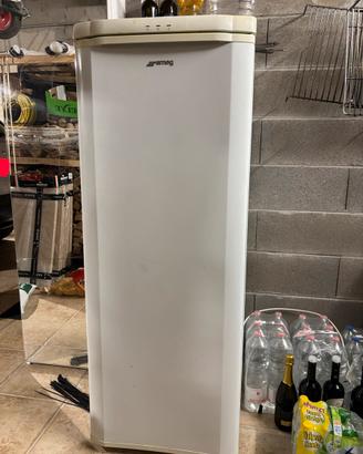 Elettrodomestico, freezer