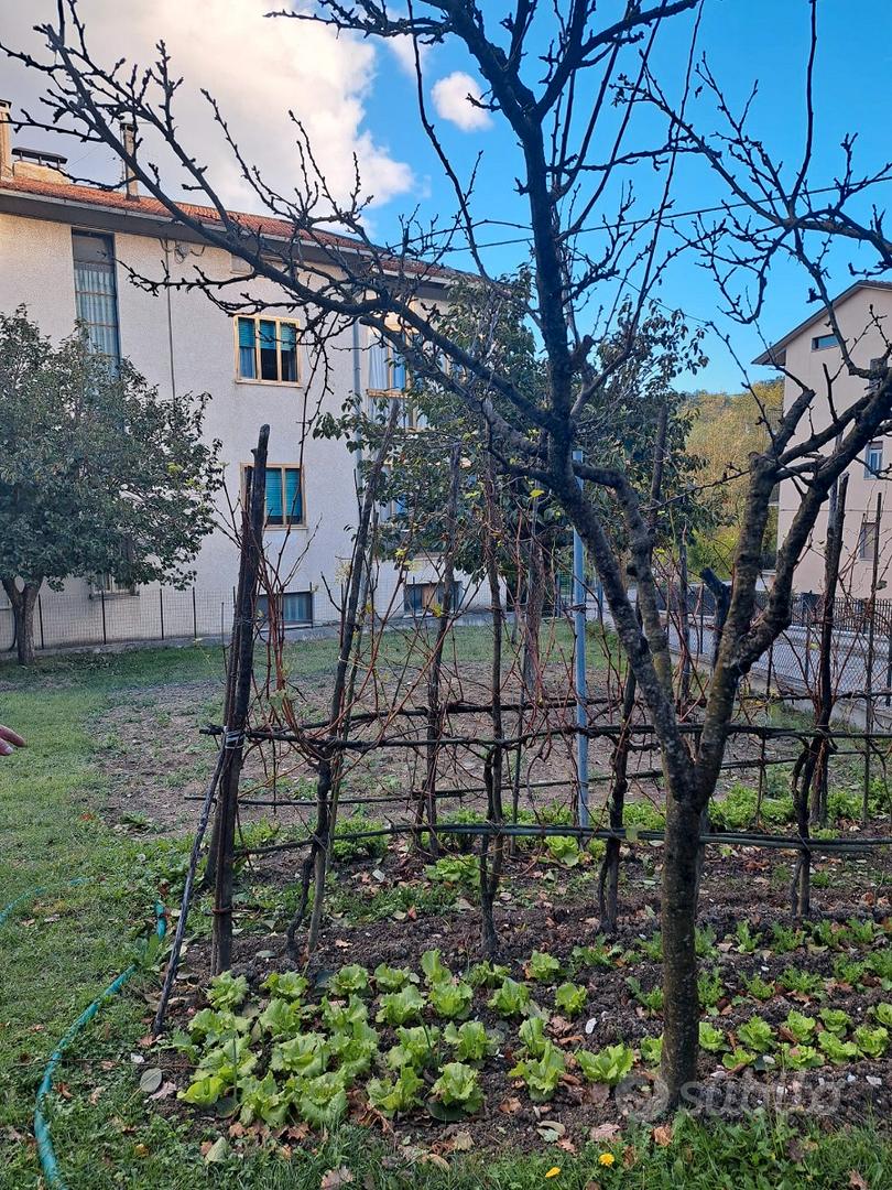 Appartamento – Cagli, Civita - Vista 5