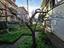Immagine 18