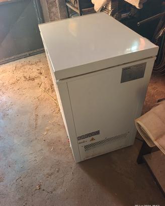 congelatore a pozzetto 100 litri ocean