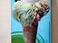 Immagine 5