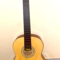 Chitarra professionale (prezzo trattabile)