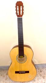 Chitarra professionale (prezzo trattabile)