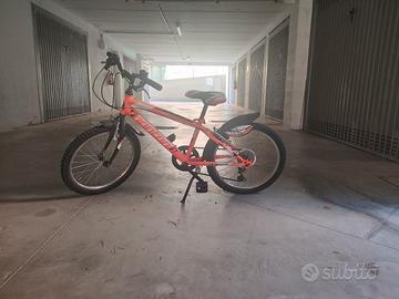 bicicletta