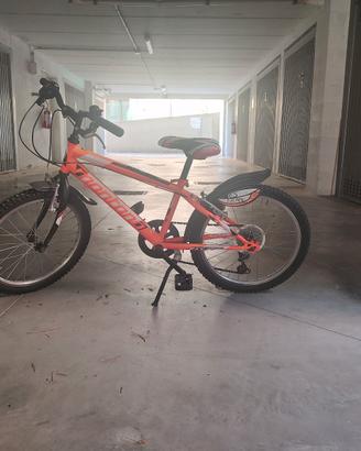 bicicletta
