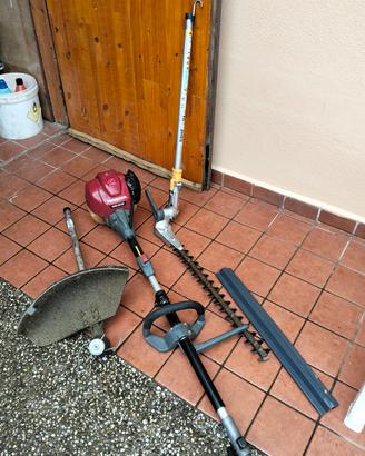 inserto decespugliatore e taglia siepe 