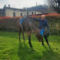 Cavallerizza per muovere cavallo