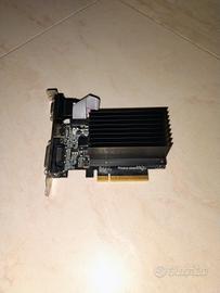 Scheda video Nvidia GT 710