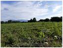 terreno-agricolo-serre-a4341672-