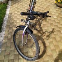 bicicletta  mountain bike