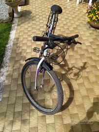 bicicletta  mountain bike