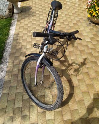 bicicletta  mountain bike