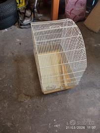 Gabbia per uccellini