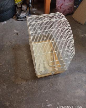 Gabbia per uccellini