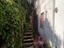 Immagine 14