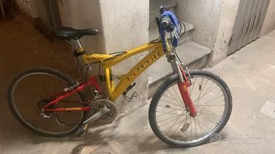 Bicicletta