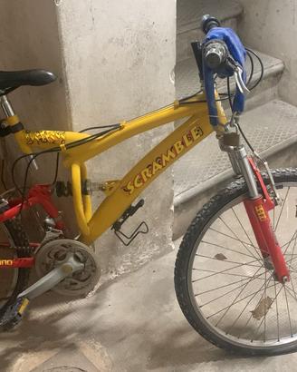 Bicicletta