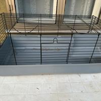 Gabbia conoglietti/cavie