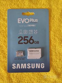 Samsung EVO Plus 256 Gb.