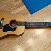 Chitarra acustica Walden Hawthorne HD220