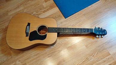 Chitarra acustica Walden Hawthorne HD220