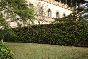 Bivani in Fiesole in villa antica