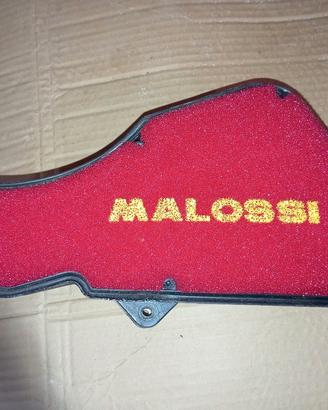 cassa filtro con Red sponge