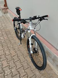 Mountain-bike Focus carbonio.