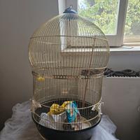 Gabbia per Uccelli
