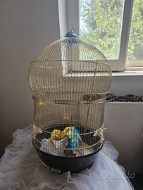 Gabbia per Uccelli