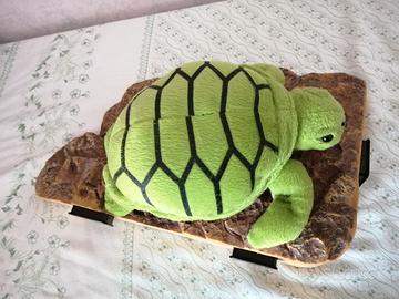 Isola per  tartarughe d'acqua dolce.