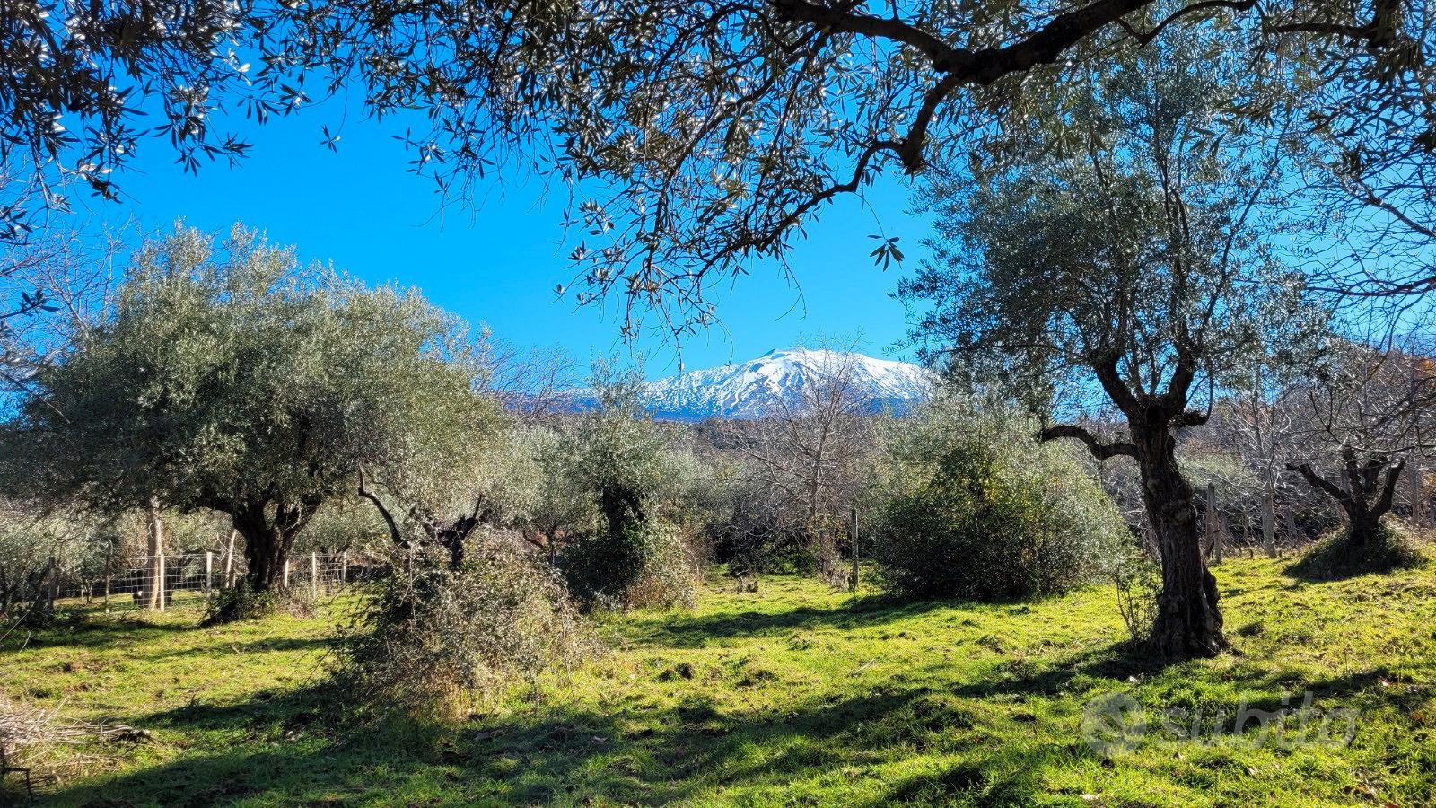 Bronte zona Maletto terreno 5400mq - Vista 5