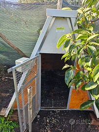 Pollaio con porta automatica