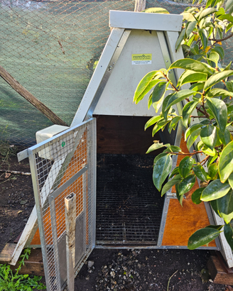 Pollaio con porta automatica