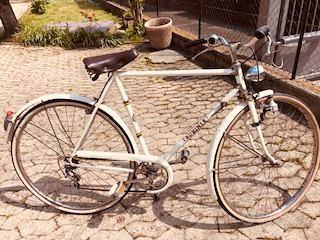 Bicicletta per uomo