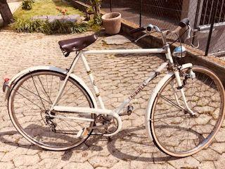 Bicicletta per uomo
